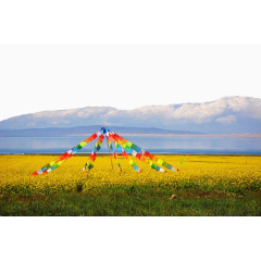 著名青海湖景点