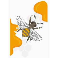 矢量手绘蜂蜜和蜜蜂