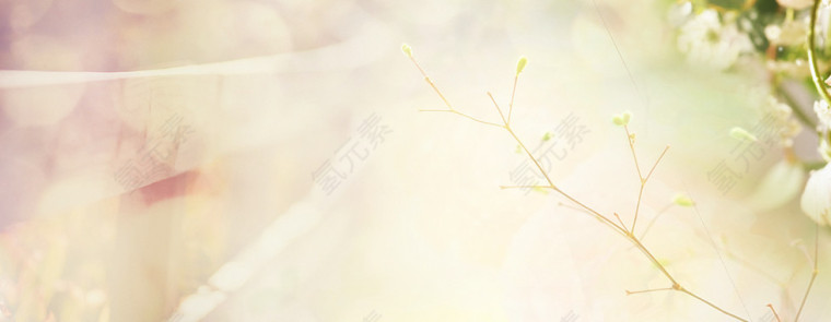 banner背景