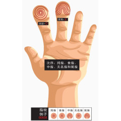 五个手指指纹加密顺序