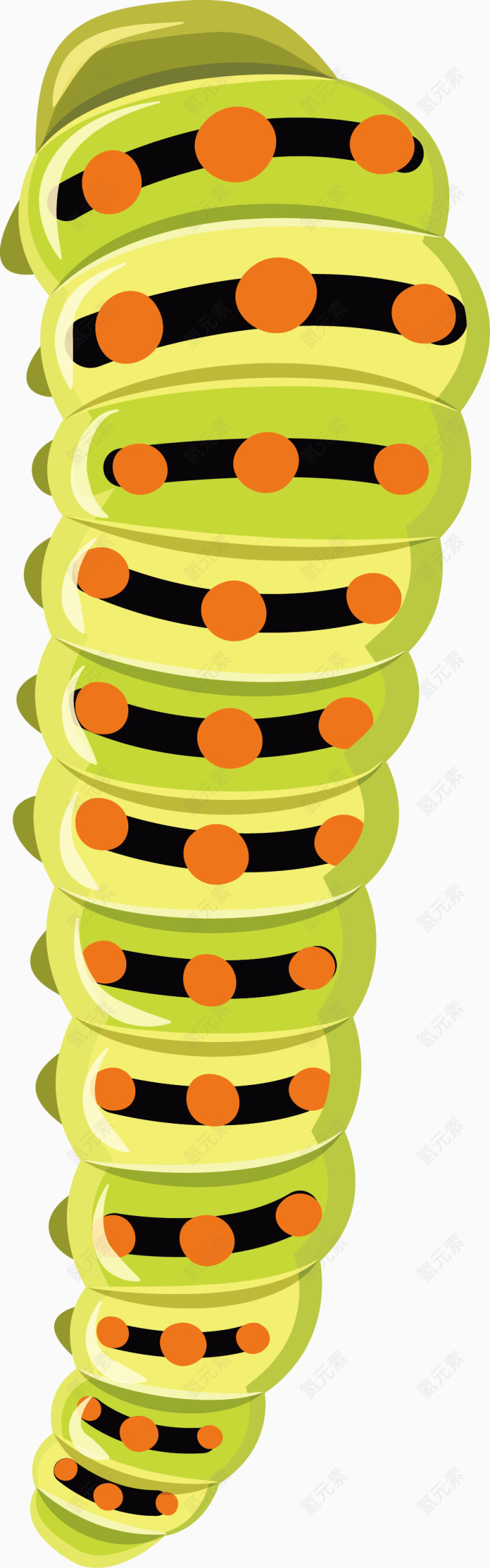 毛毛虫矢量图