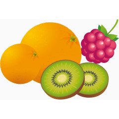 橙子猕猴桃葡萄png矢量素材