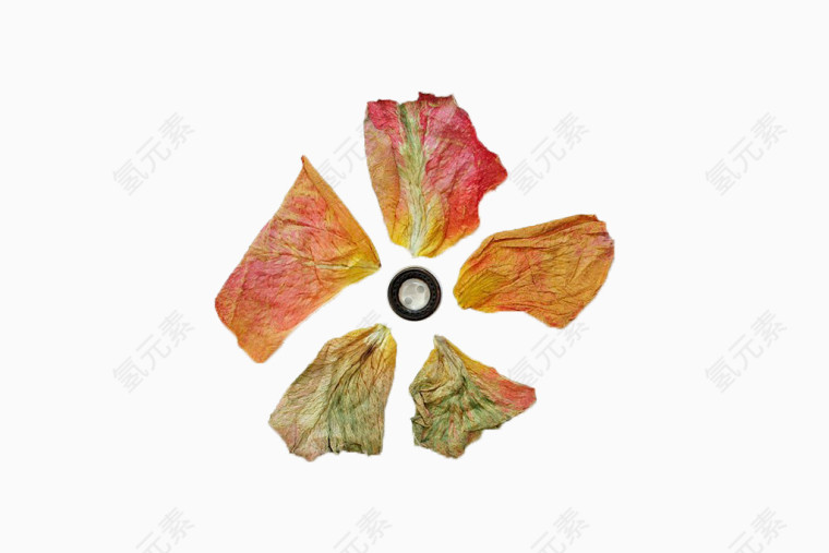 干花花瓣