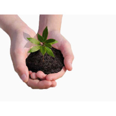 手捧绿植环保装饰图