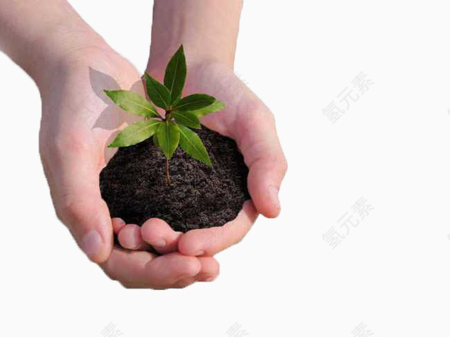 手捧绿植环保装饰图
