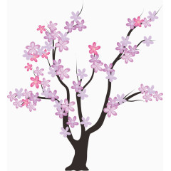樱花树枝