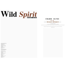 字母背景照片相册模板元素