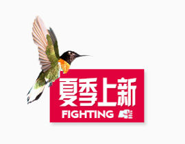 夏季上新标签