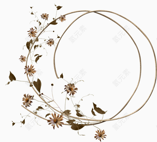 柳条树枝小花边框矢量图