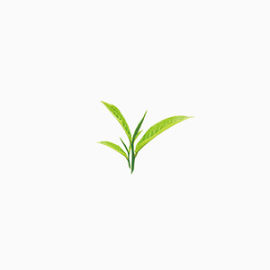 茶言观色绿茶 养生 休闲