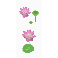 手绘荷花荷叶免抠素材