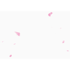 粉色花瓣漂浮素材