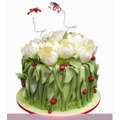 可爱瓢虫花花世界蛋糕