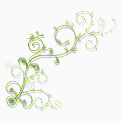 美丽花藤你值得拥有