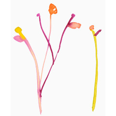 手绘简笔文艺花骨