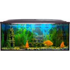 时尚家居鱼缸素材