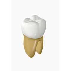 唯美卡通牙齿口腔保健