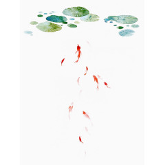 睡莲下的小金鱼