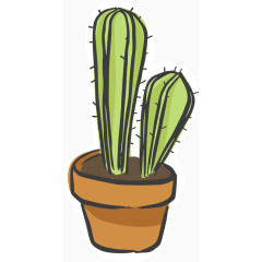 手绘装饰仙人掌