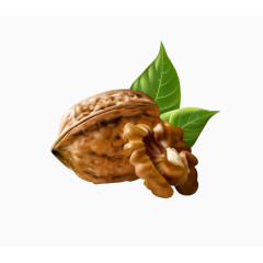 矢量暗色清晰核桃坚果