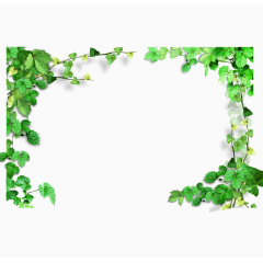 绿色藤蔓圆圈素材