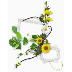 装饰菊花绿叶相框装饰