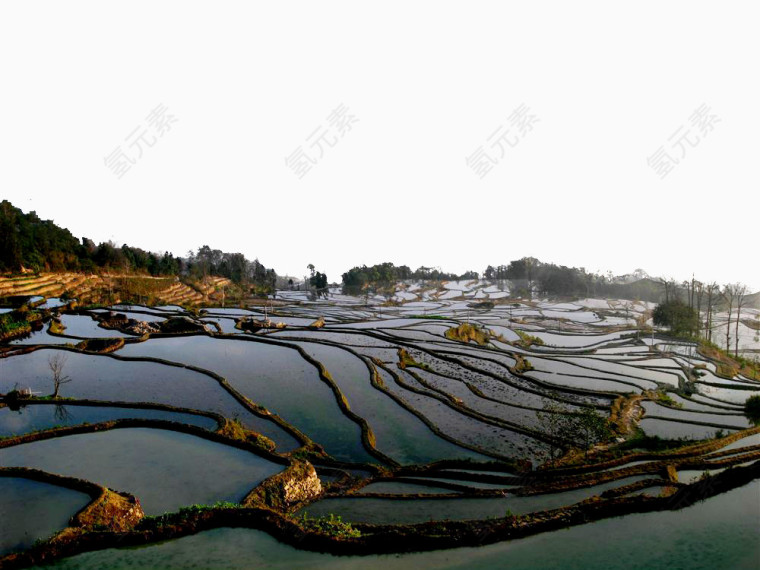 云南元阳梯田