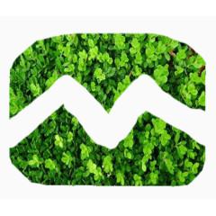 不规则的绿色植物墙