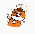 卡通猫表情包