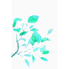 花枝 花草 免抠 PNG图片素材