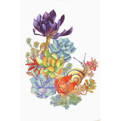 多肉里女孩与蜗牛捉迷藏