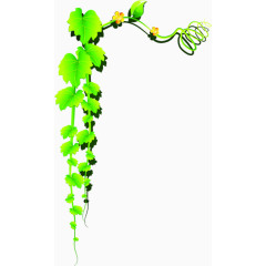 绿色清晰花藤边框