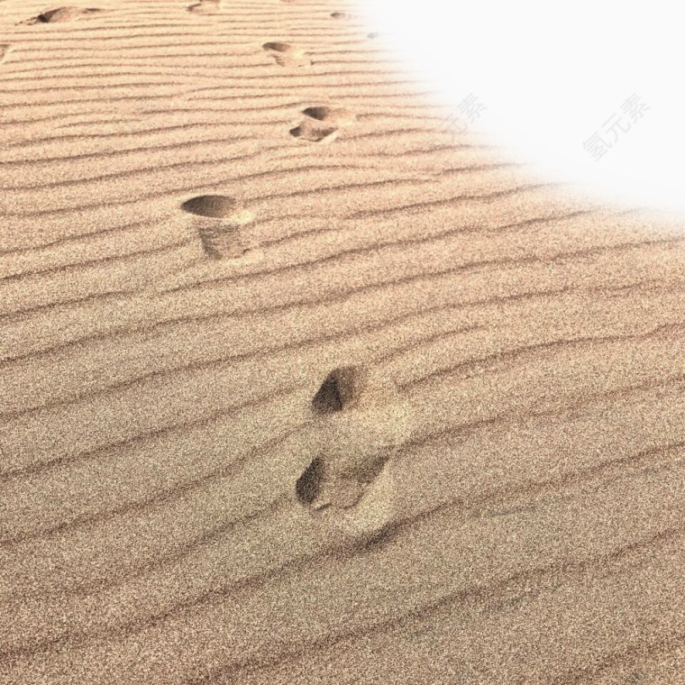 沙漠俯视角度脚印