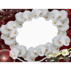 白色花装饰的边框