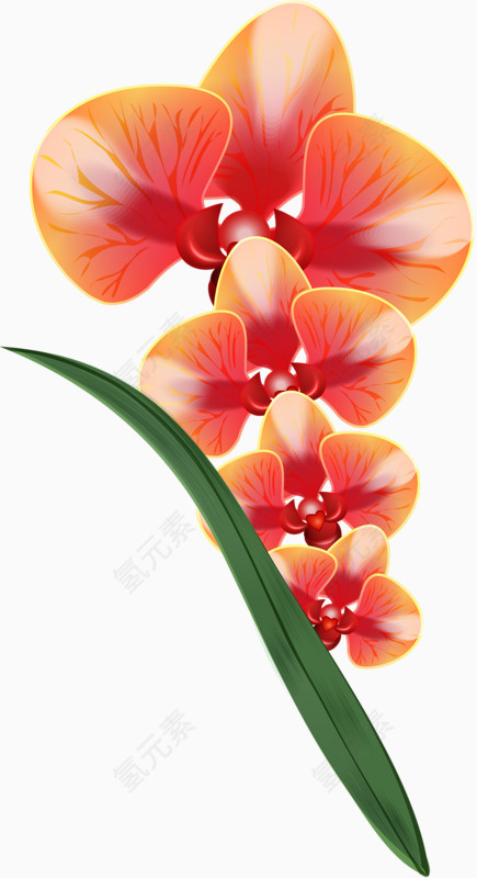 鲜艳的花朵