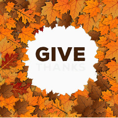 感恩节标签秋天树叶海报图标背景