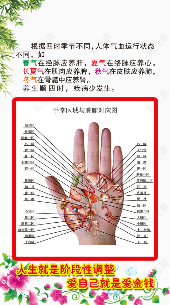 手部经络与脏腑对应图