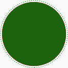 绿色圆形边框