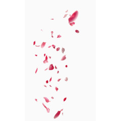 粉色玫瑰花花瓣漂浮素材