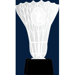 羽毛球形状运动奖杯
