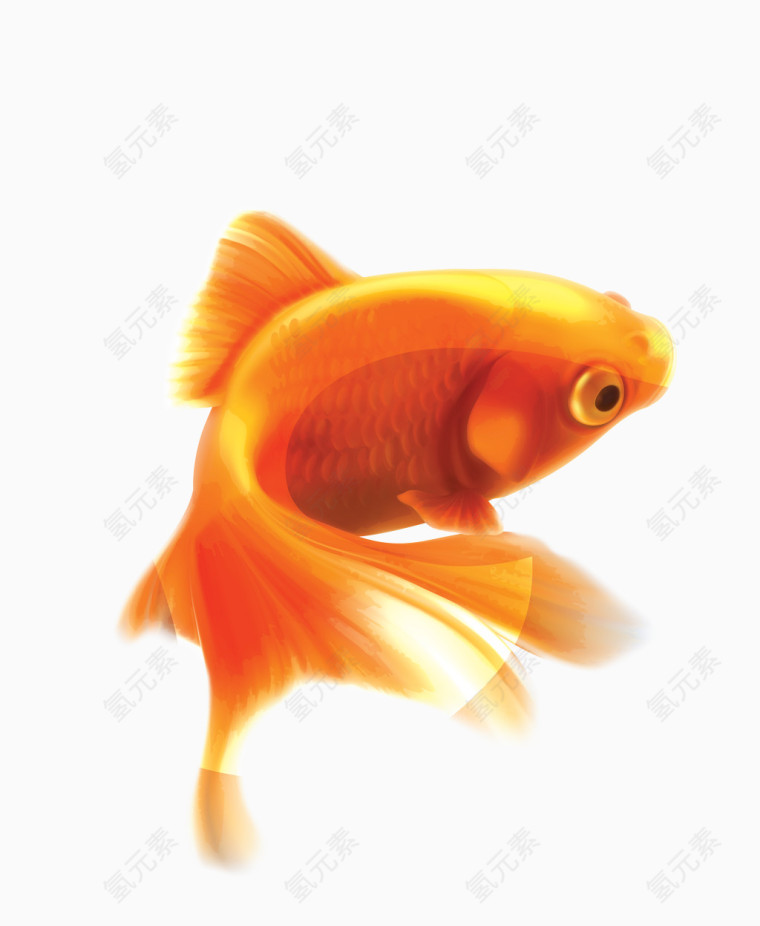 矢量金色可爱小金鱼