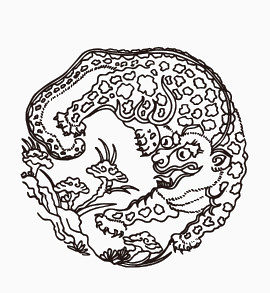 龙图案