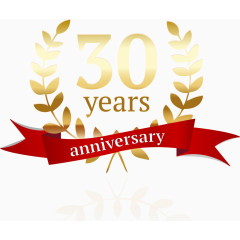 矢量30周年纪念日