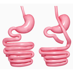 胃部对比医疗插图