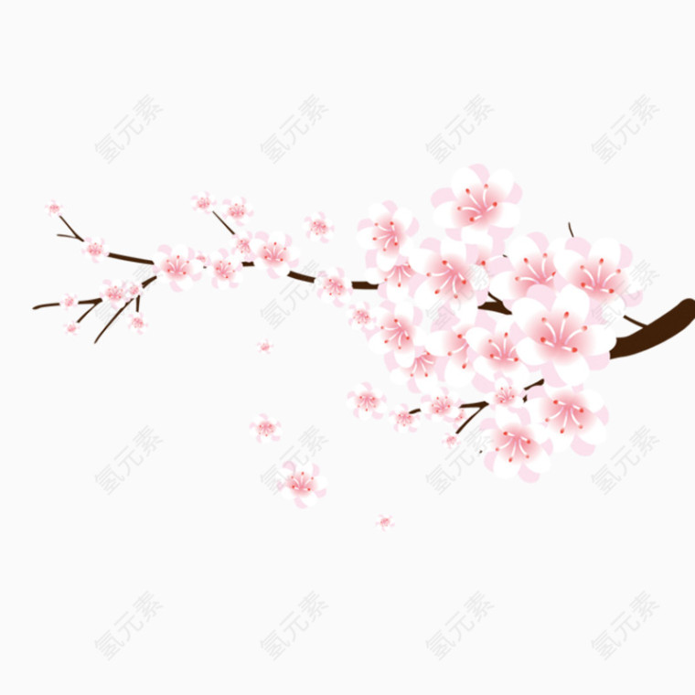 粉红的梅花