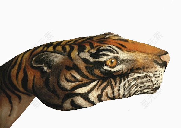 创意动物手绘艺术