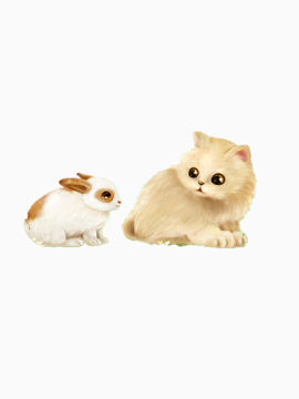 猫和小兔的对视