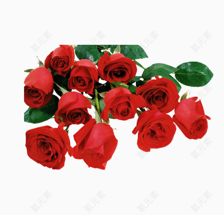 鲜花