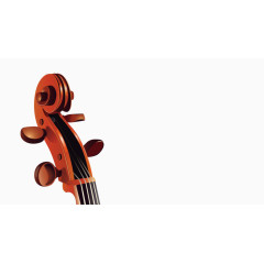 矢量尤克里里培训元素