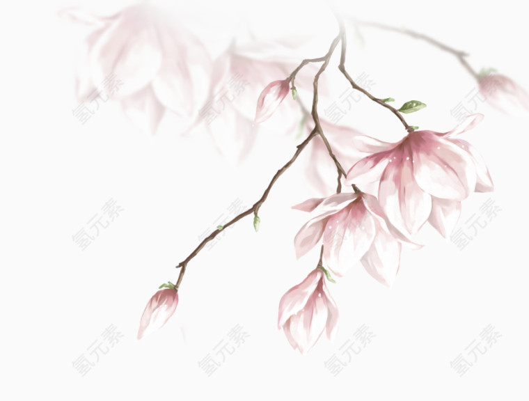 花 唯美 优雅